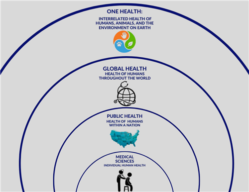Hierarchy of Health 